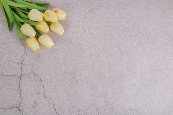 777久久久精品一区二区三区