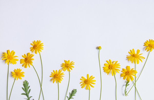 777久久久精品一区二区三区