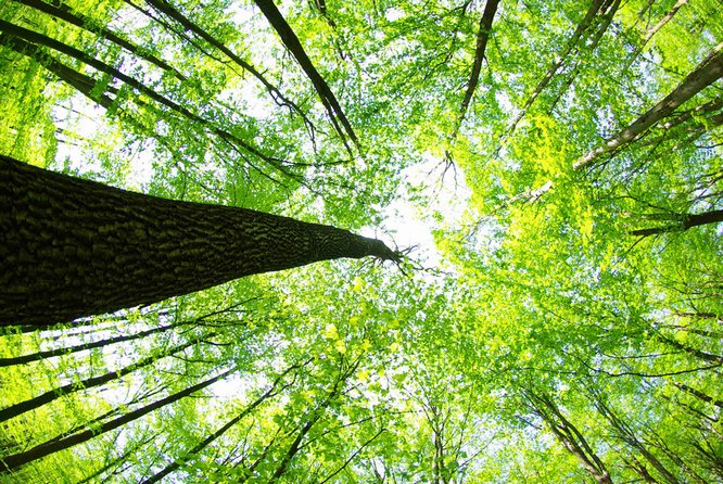 777久久久精品一区二区三区