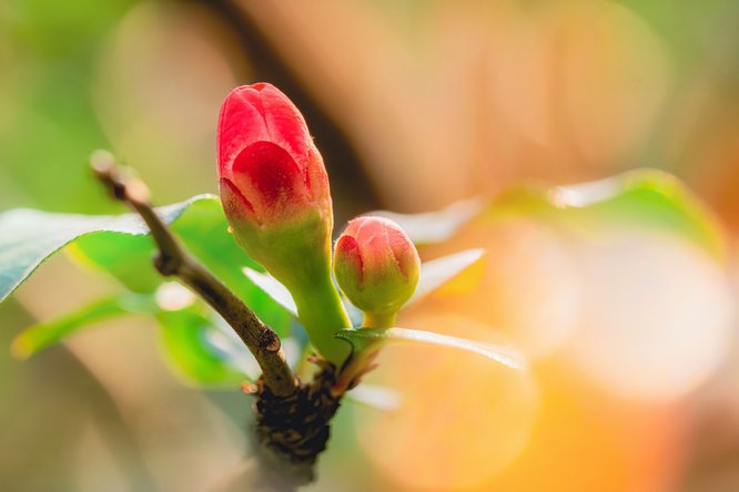 777久久久精品一区二区三区