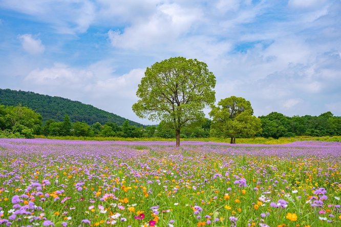 777久久久精品一区二区三区