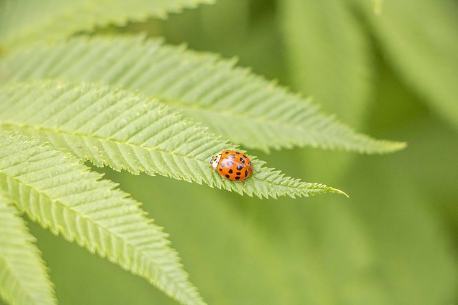 777久久久精品一区二区三区