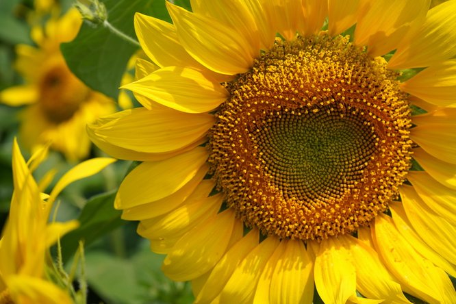 777久久久精品一区二区三区