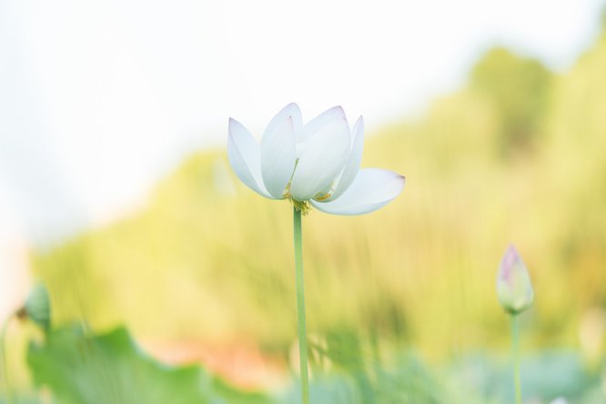 777久久久精品一区二区三区