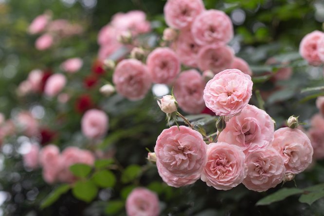 777久久久精品一区二区三区