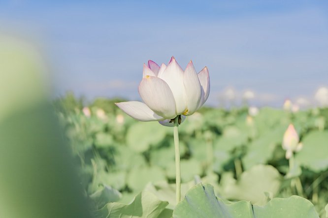 777久久久精品一区二区三区