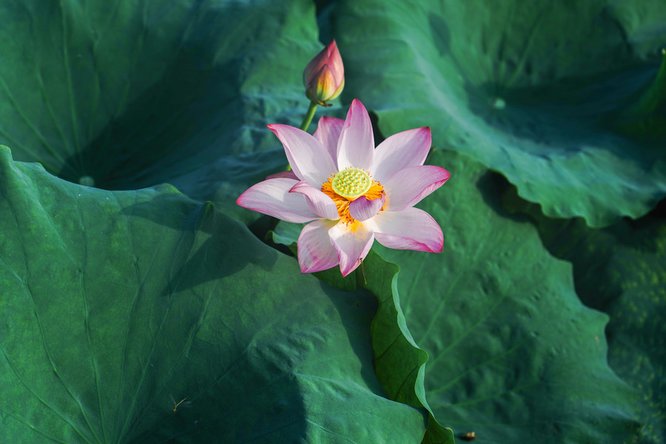 777久久久精品一区二区三区