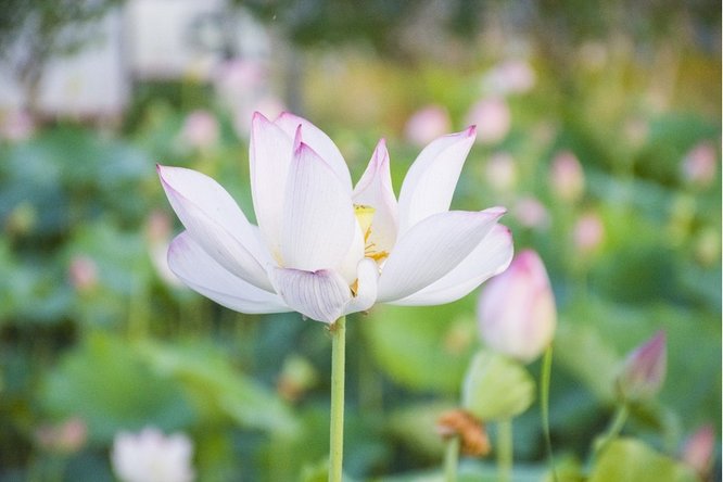 777久久久精品一区二区三区