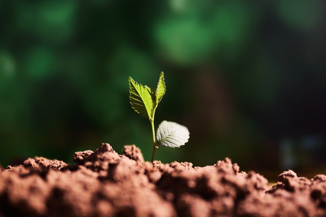 777久久久精品一区二区三区