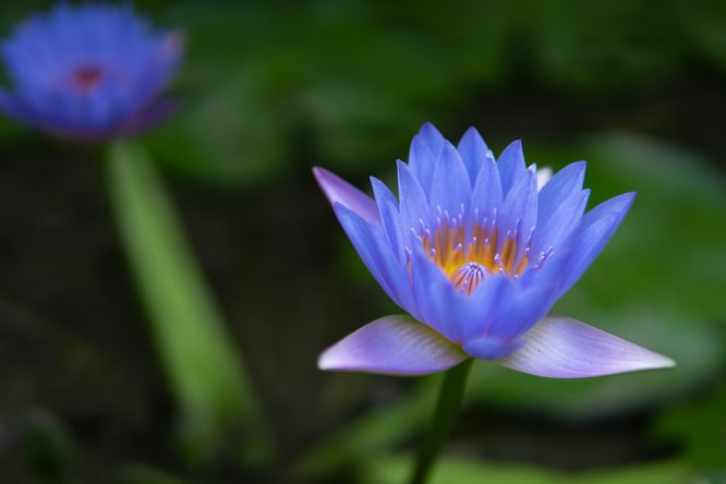 777久久久精品一区二区三区