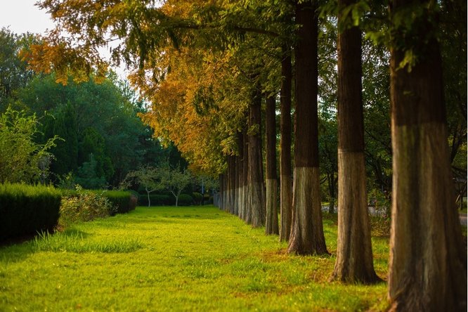 777久久久精品一区二区三区