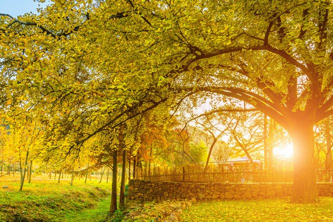 777久久久精品一区二区三区