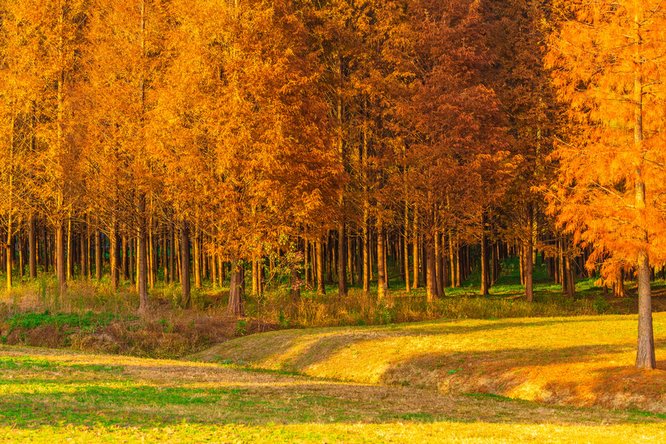 777久久久精品一区二区三区