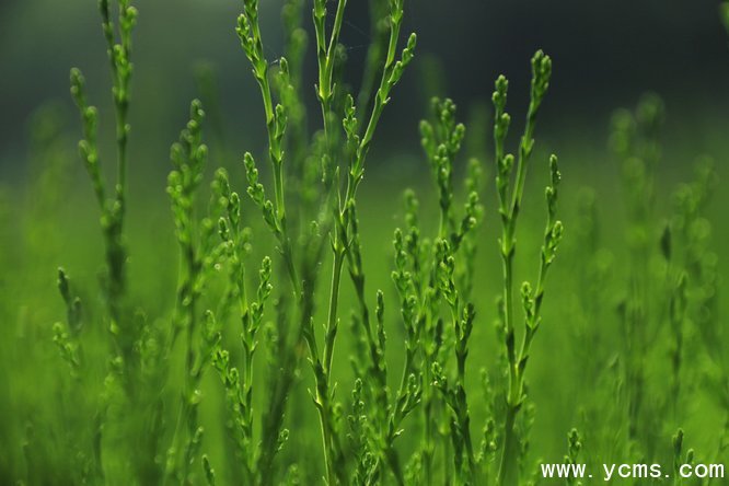 777久久久精品一区二区三区