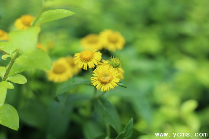 777久久久精品一区二区三区