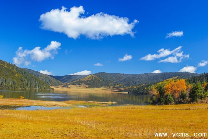 777久久久精品一区二区三区