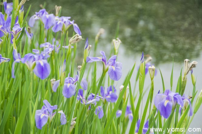 777久久久精品一区二区三区