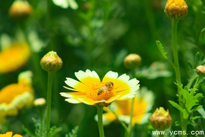 777久久久精品一区二区三区