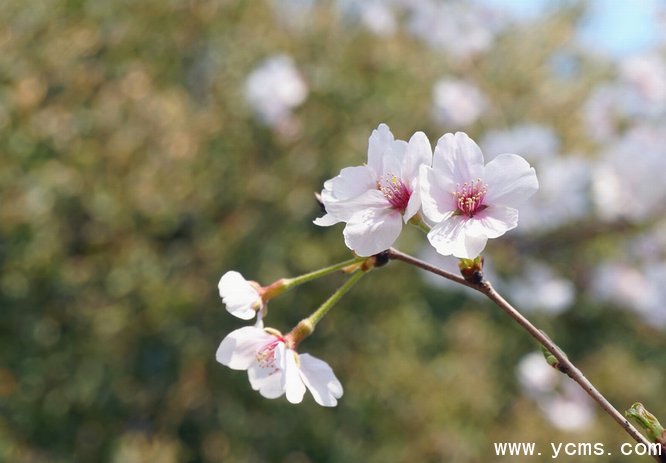 777久久久精品一区二区三区