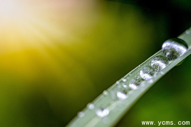 777久久久精品一区二区三区