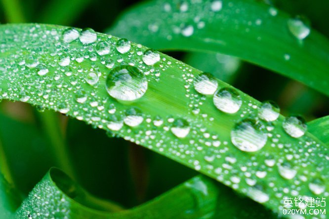 777久久久精品一区二区三区