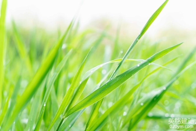 777久久久精品一区二区三区