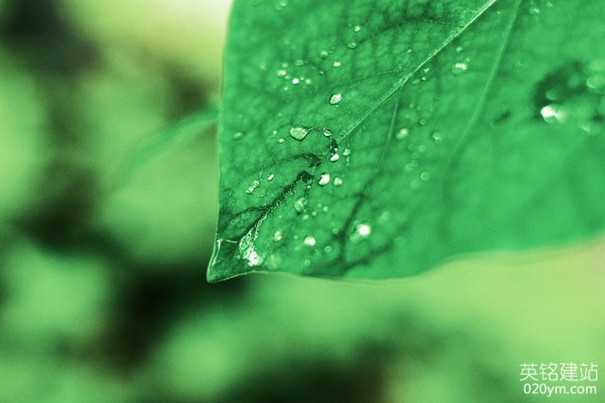 777久久久精品一区二区三区