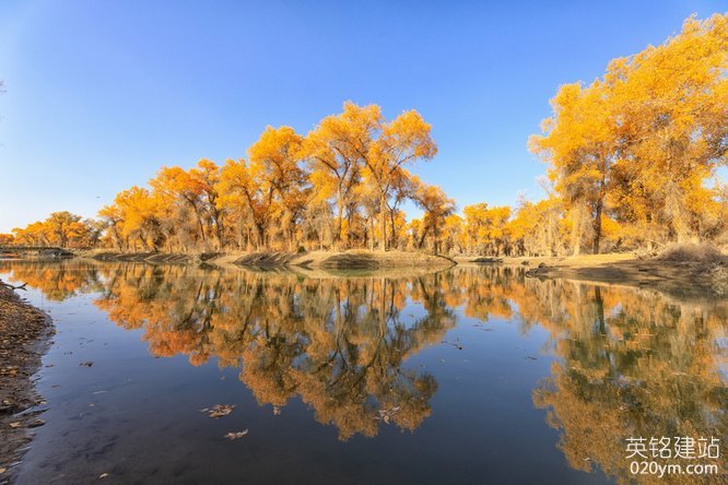 777久久久精品一区二区三区