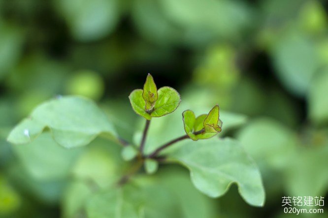 777久久久精品一区二区三区