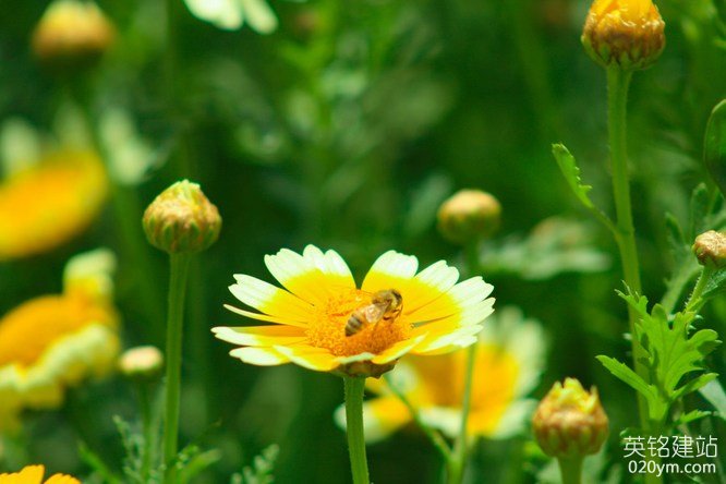 777久久久精品一区二区三区