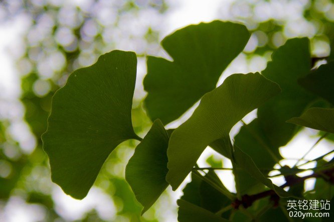 777久久久精品一区二区三区