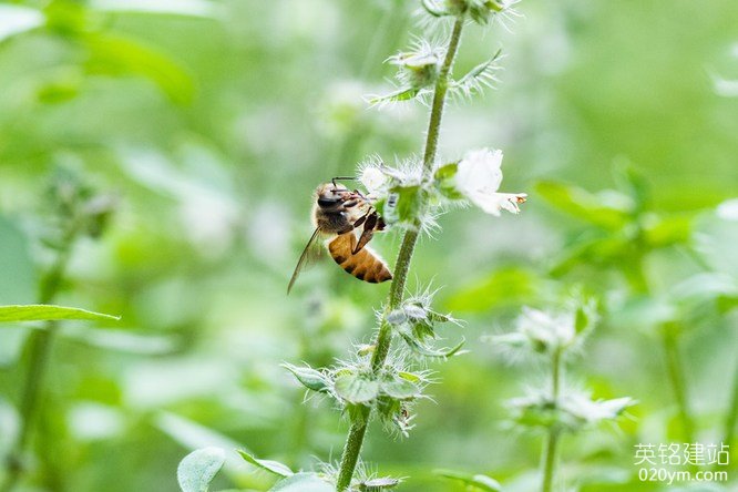 777久久久精品一区二区三区