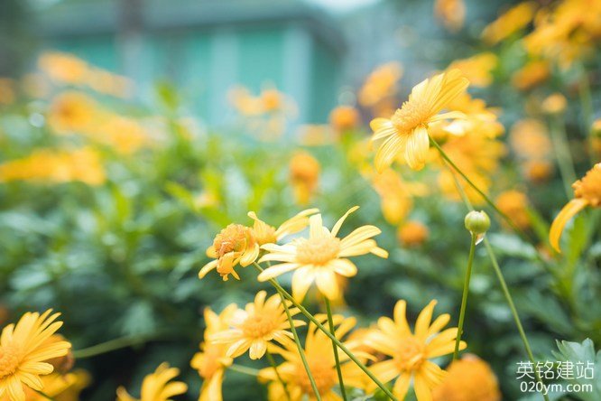 777久久久精品一区二区三区