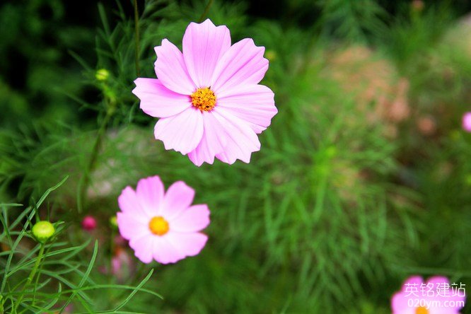 777久久久精品一区二区三区