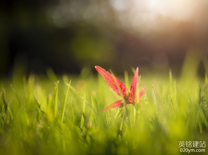 777久久久精品一区二区三区