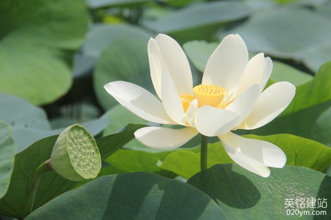 777久久久精品一区二区三区