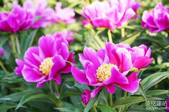 777久久久精品一区二区三区