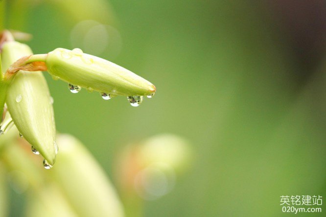 777久久久精品一区二区三区