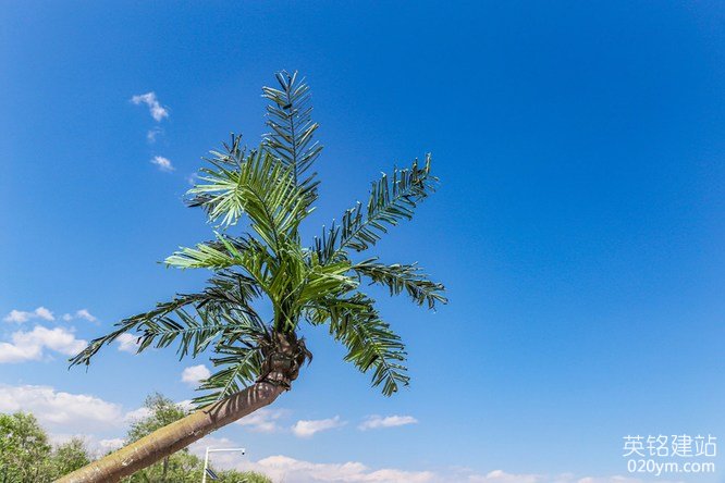 777久久久精品一区二区三区