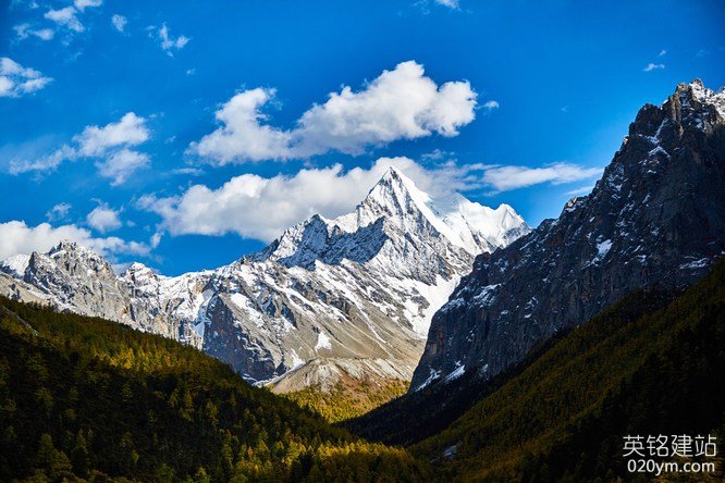 777久久久精品一区二区三区