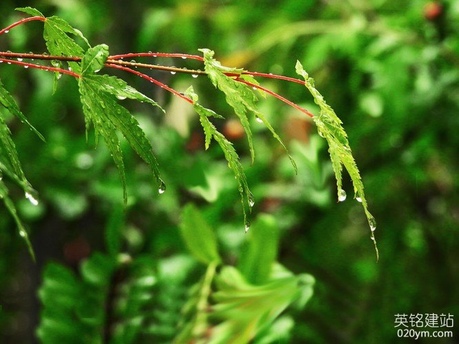 777久久久精品一区二区三区