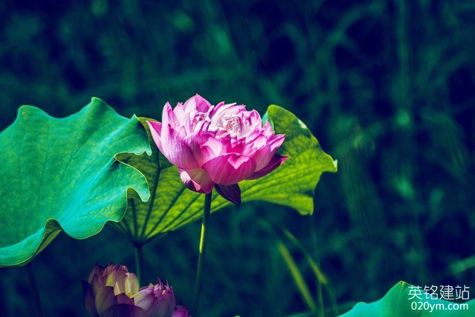 777久久久精品一区二区三区