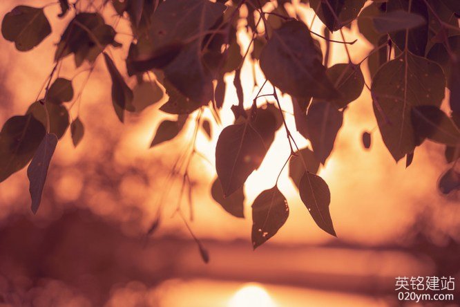 777久久久精品一区二区三区