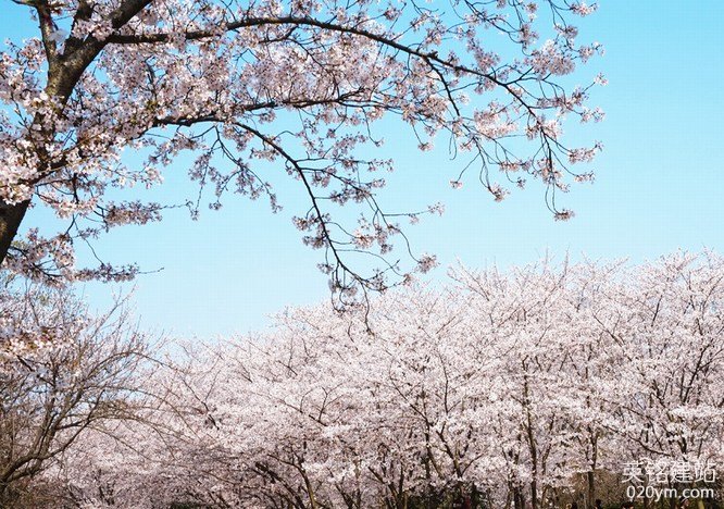 777久久久精品一区二区三区