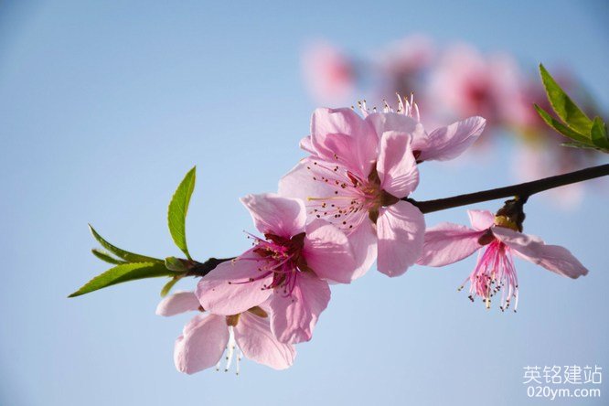 777久久久精品一区二区三区