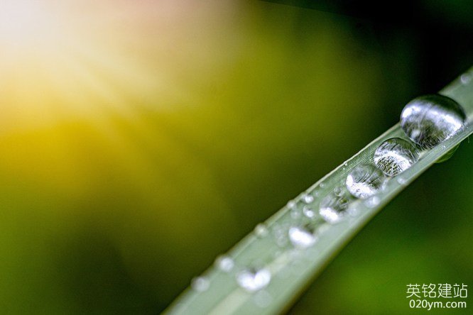 777久久久精品一区二区三区