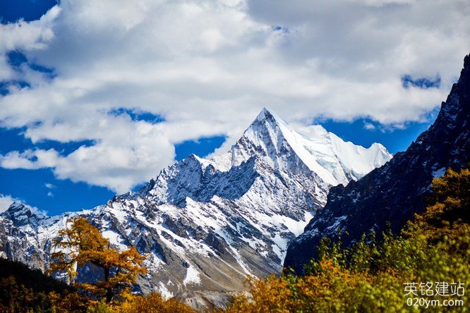 777久久久精品一区二区三区