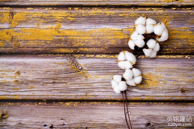 777久久久精品一区二区三区