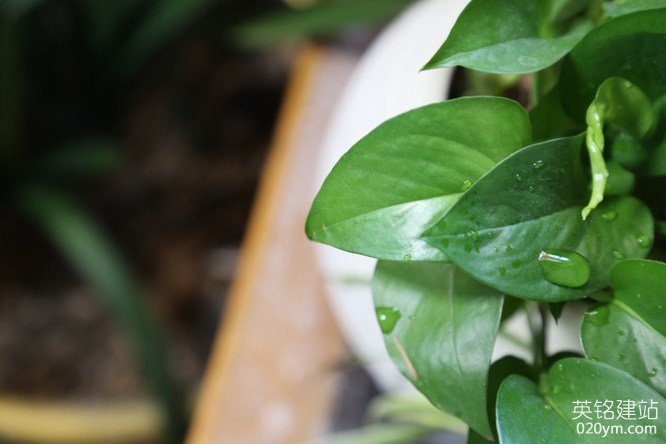 777久久久精品一区二区三区