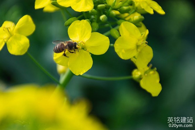 777久久久精品一区二区三区